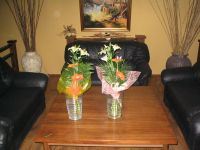 foto 002