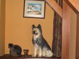 foto 006